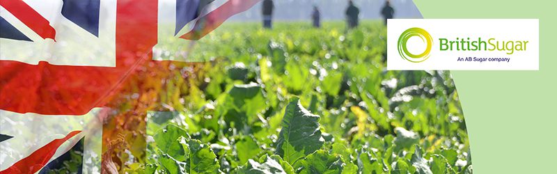 TouchStar British Sugar CCTV